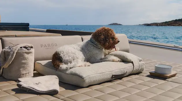 Kit Poldo Dog Couture per Pardo Yachts
