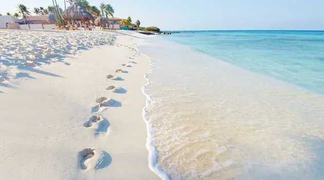 Isola di Aruba: un grande paradiso naturale