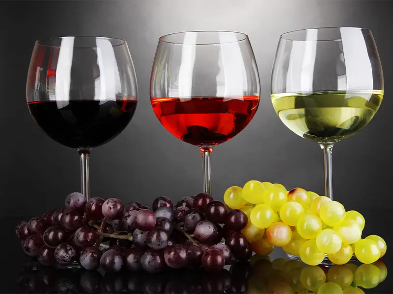 Degustazioni vino  Foto: Copyright ©&nbsp;Sisterscom.com 