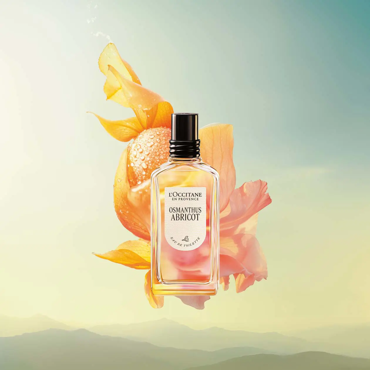 Osmanthus Abricot Foto: Copyright © L’Occitane en Provence