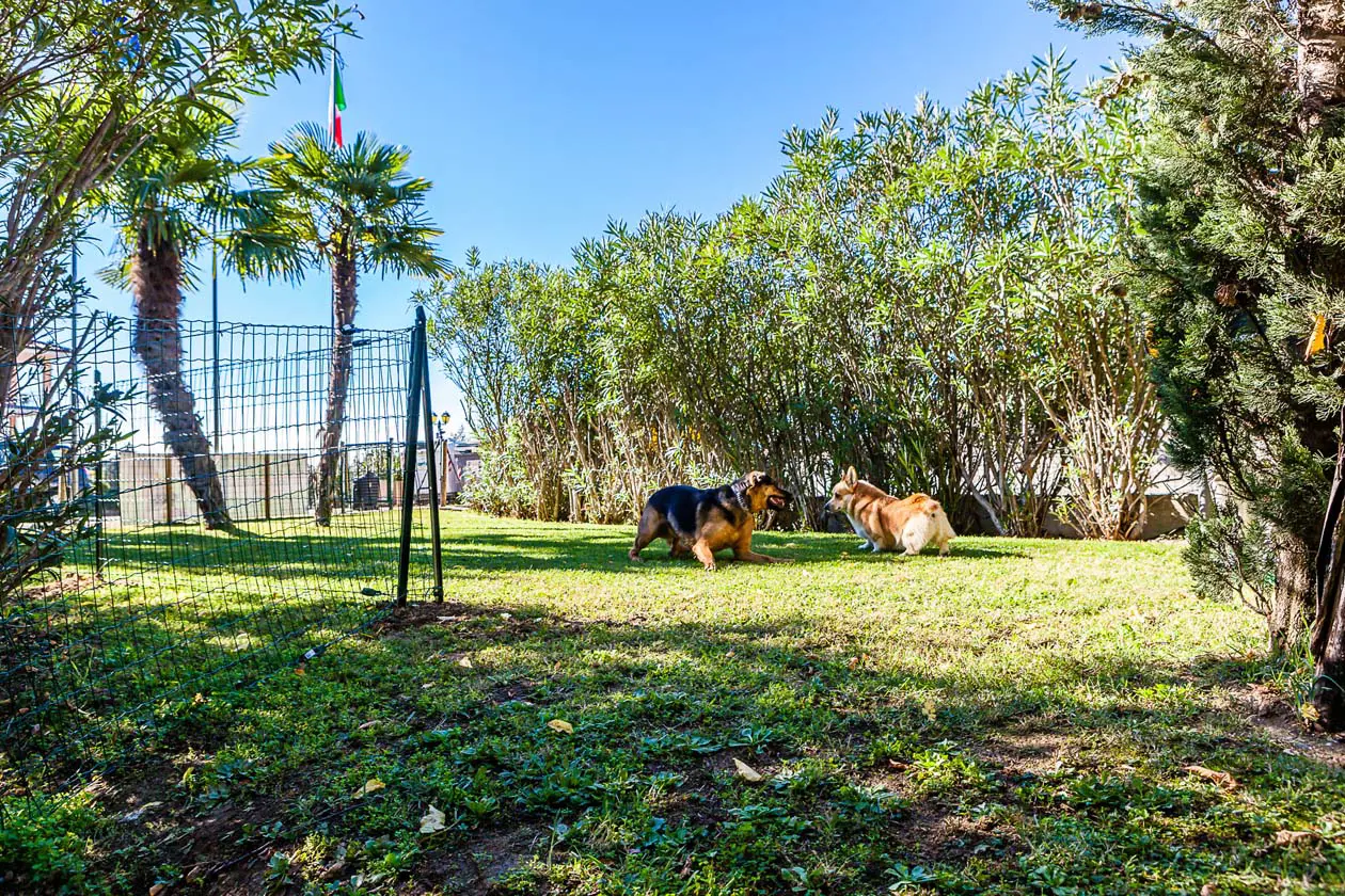 Boffenigo - The Golden Hour, area per cani Foto: Copyright © Ufficio Stampa Boffenigo - The Golden Hour