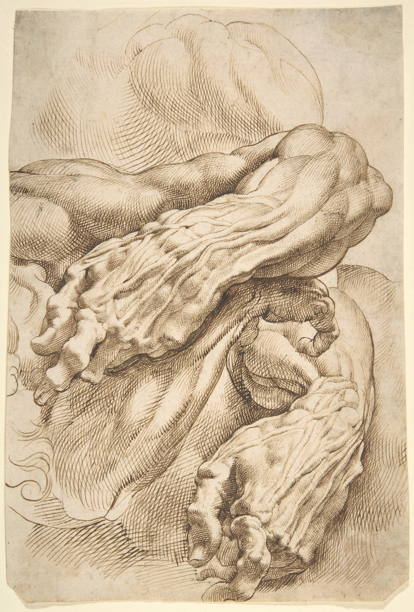Studio anatomico Peter Paul Rubens, penna e inchiostro marrone, 1600 – 1605, 27,8 x 18,6 cm, Rogers Fund, 1996, The Metropolitan Museum of Art, New York, USA