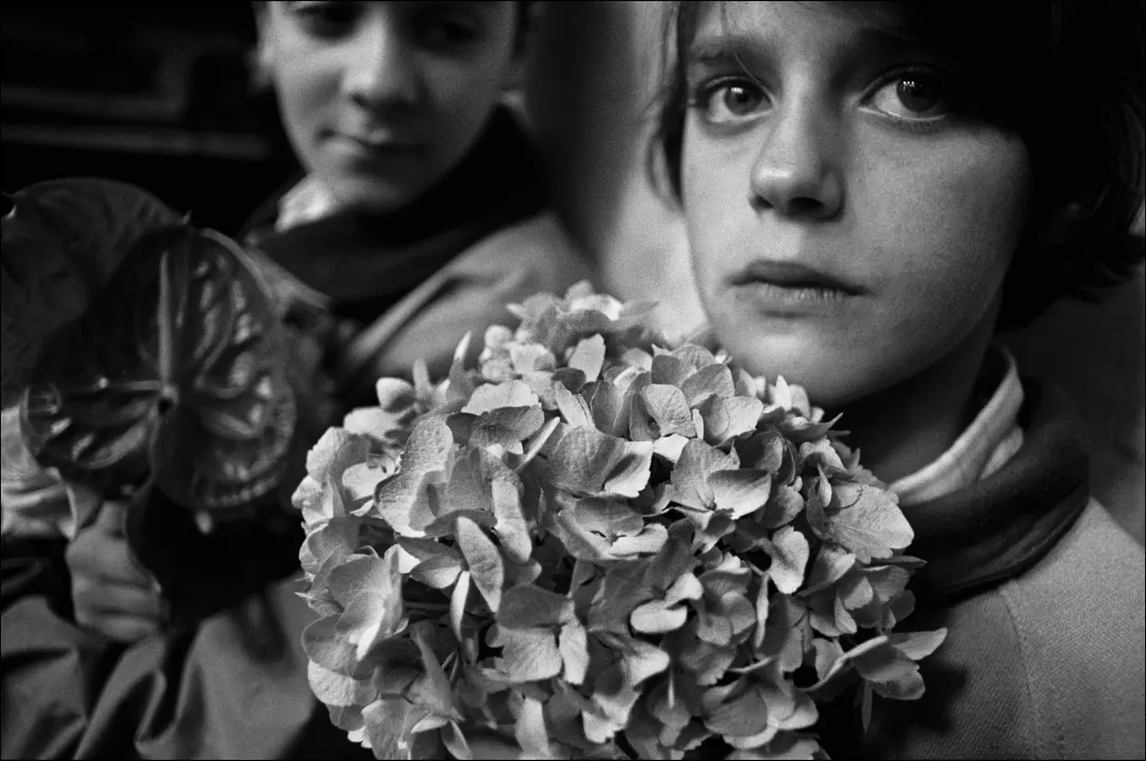 Le ortensie. Trapani, 1992 © Archivio Letizia Battaglia - Solo per uso editoriale