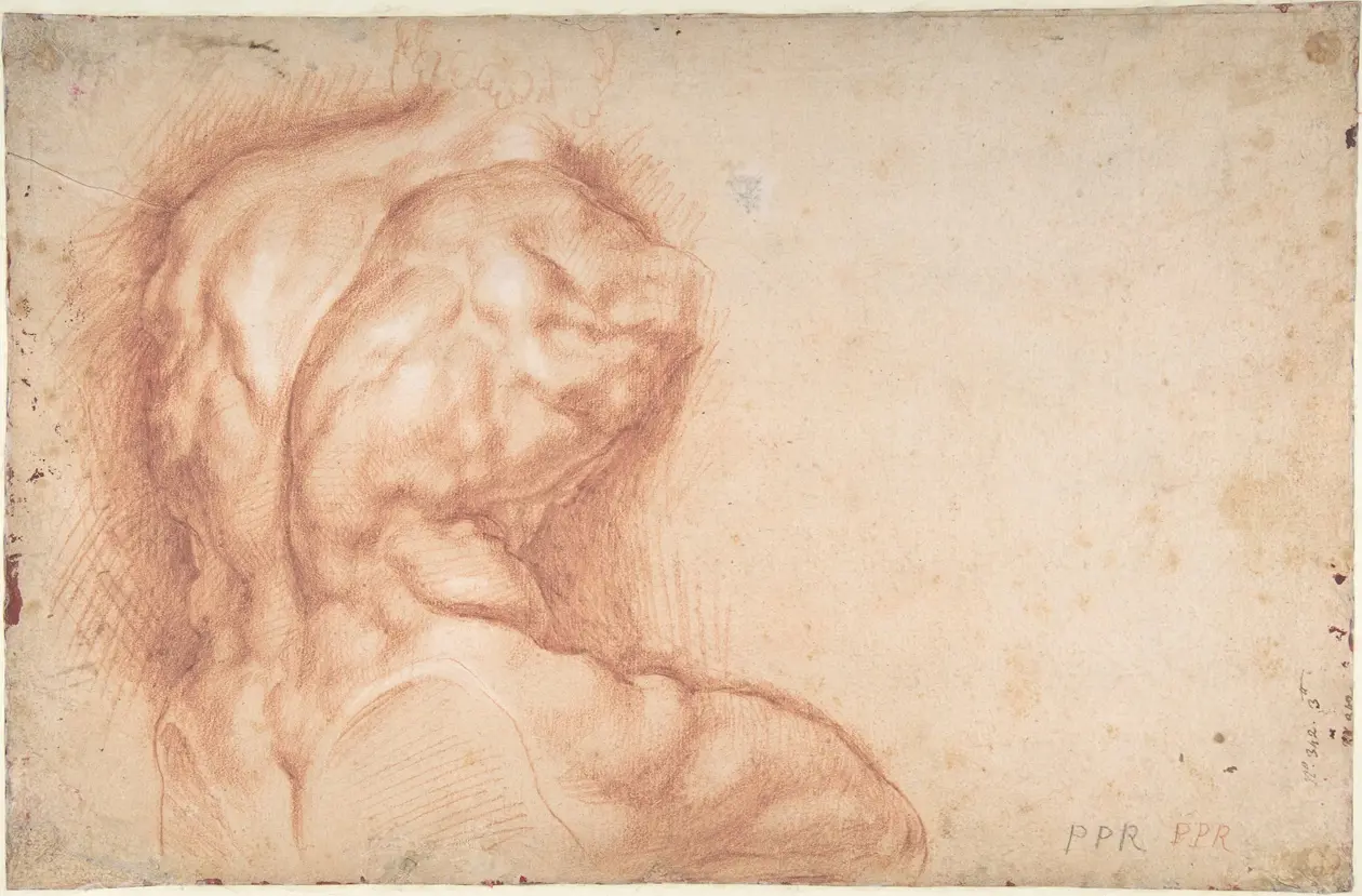 Studio del Torso Belvedere (verso) Peter Paul Rubens, gesso rosso, 39,5 x 26 cm, 1601 c., Purchase, 2001 Benefit Fund, 2002, The Metropolitan Museum of Art, New York, USA