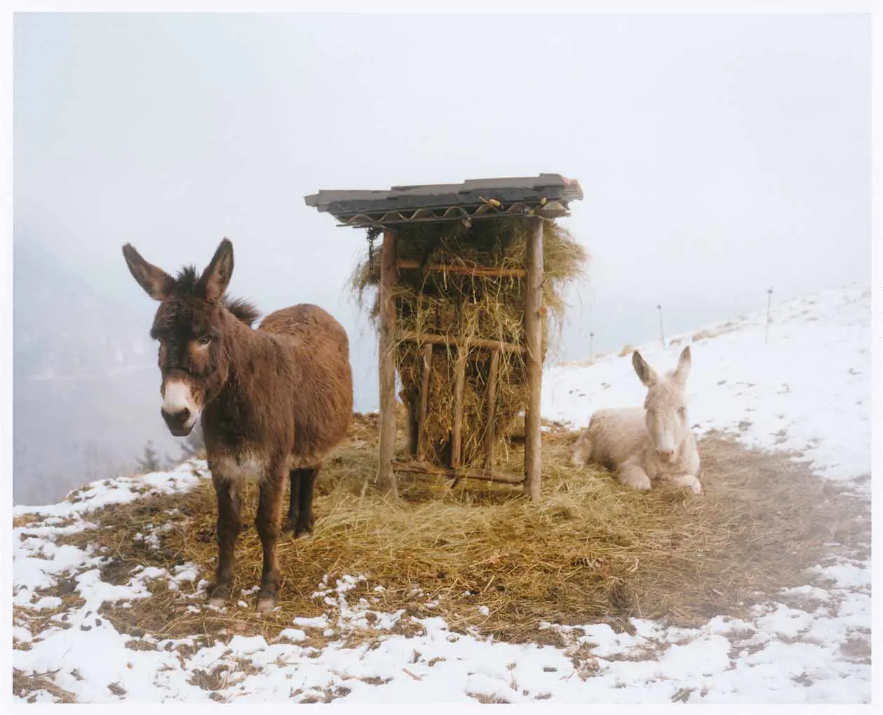 Naoki Ishikawa, Alpi Orobie, 2022, Campagna fotografica realizzata in occasione della mostra Vette di Luce, Accademia Carrara, 2023. Copyright © Accademia Carrara.