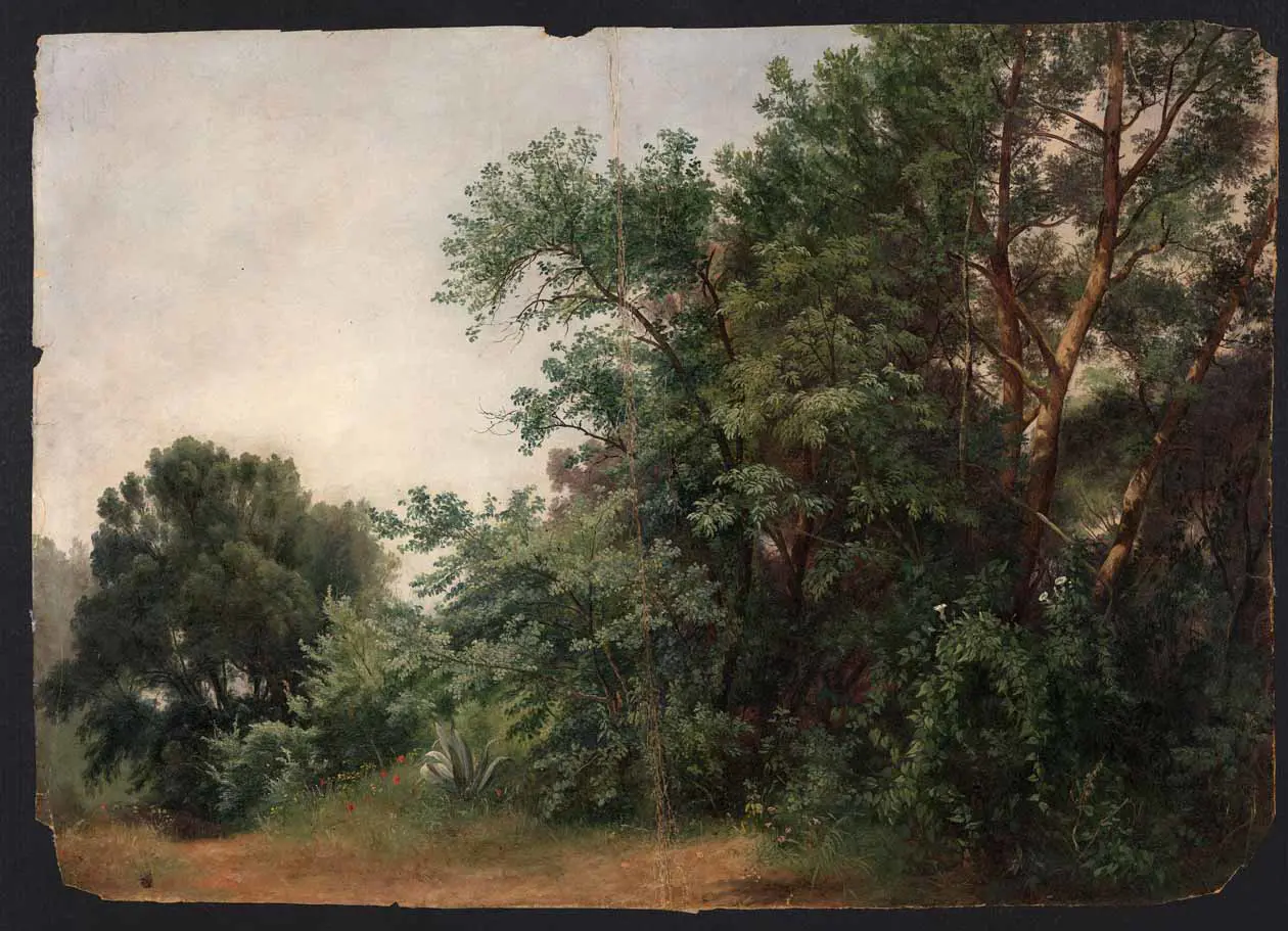 Costantino Rosa, Bergamo 1803-1878, Interno di un bosco, olio su carta | oil on paper, Bergamo, Accademia Carrara, Inv. DIS 2560. 