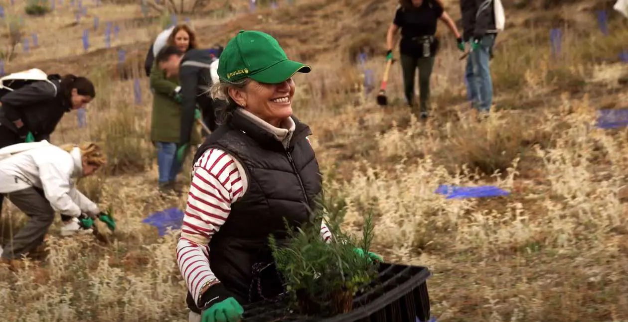 foresta di Iberia a Paracuellos del Jarama