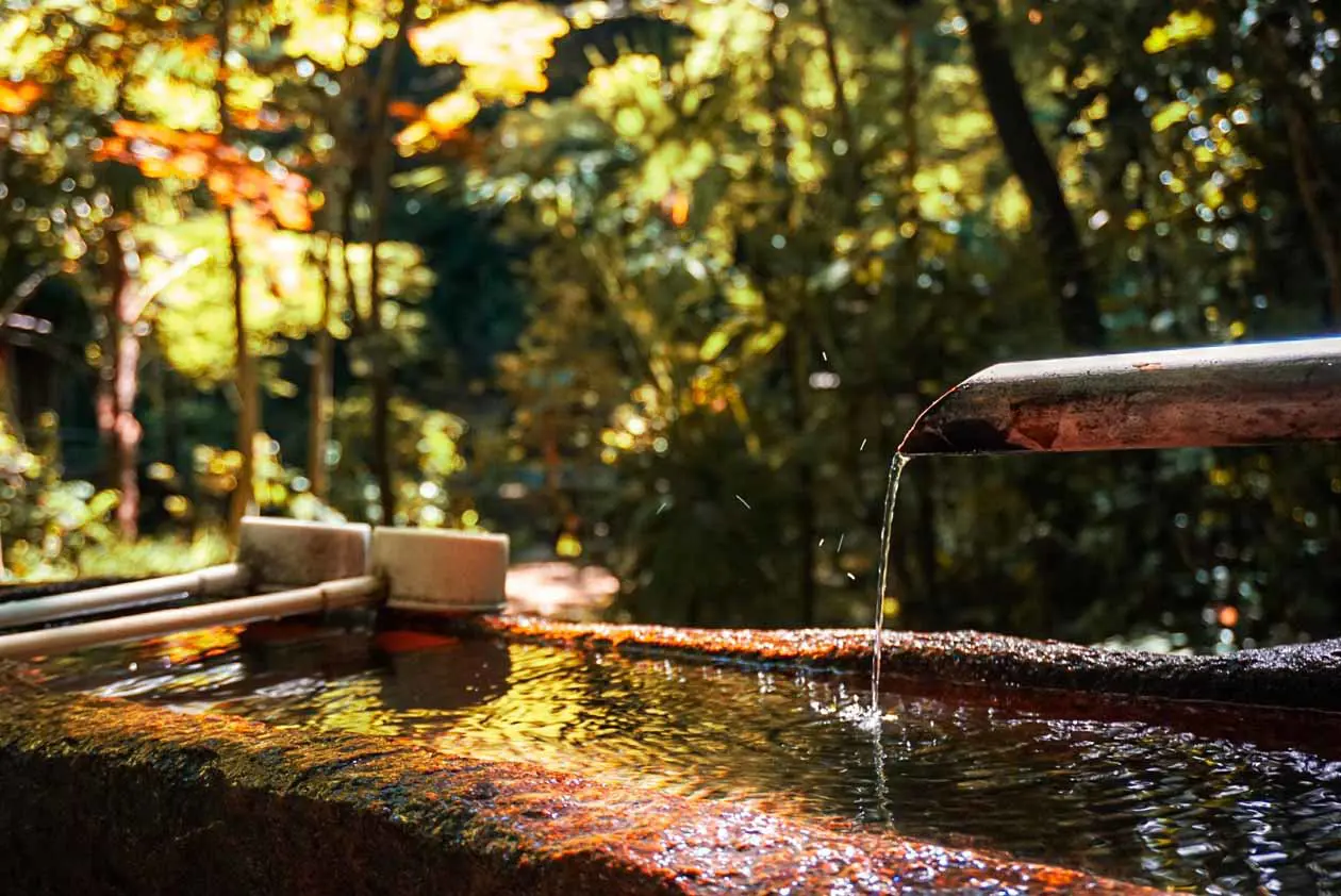 La valle di Todoroki a Tokyo