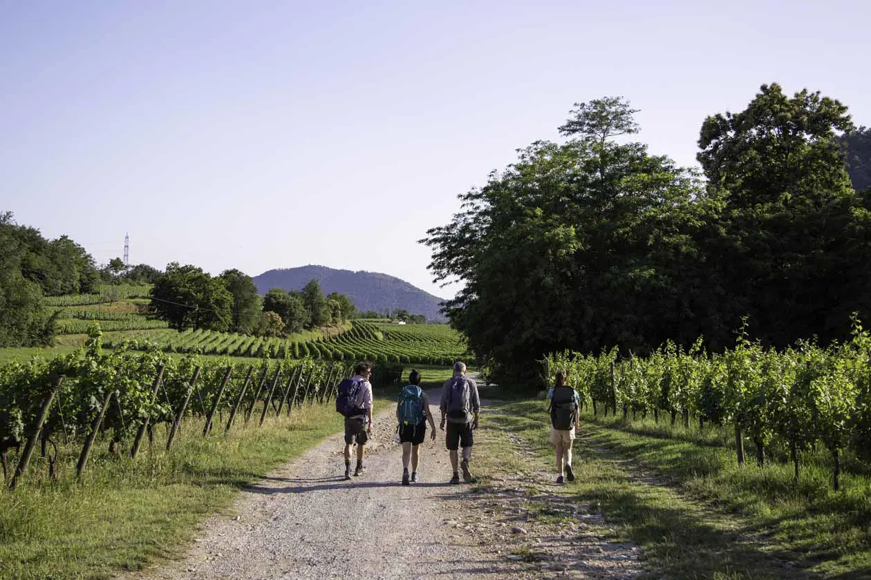 Passaggio in Franciacorta 2_ph Alessio Guitti