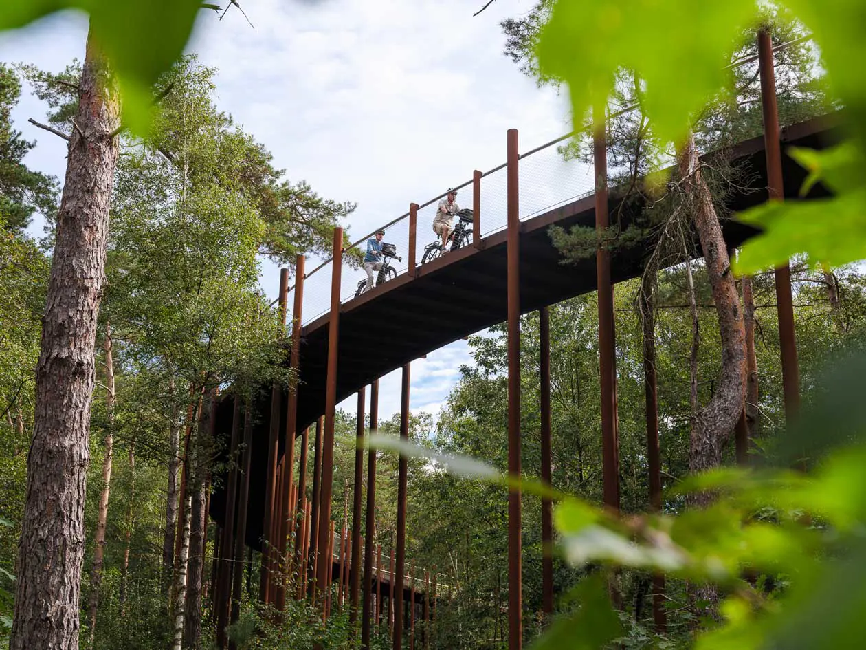 Fietsen door de bomen Copyright © Ufficio Stampa Visit Flanders