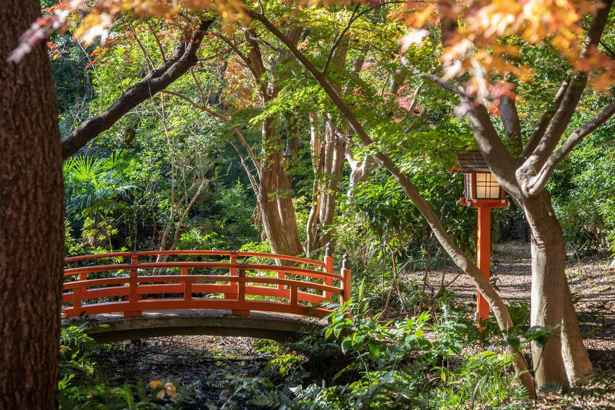 La valle di Todoroki a Tokyo