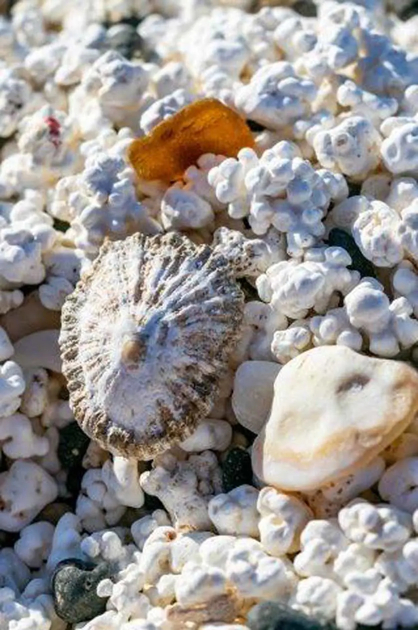 Popcorn beach, Playa de la Baja de la Burra a Fuerteventura. Copyright © Isole Canarie