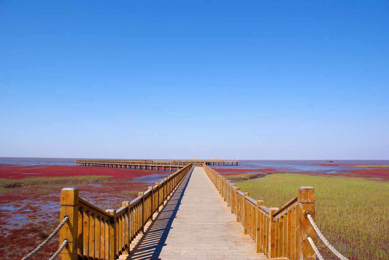 Cina_ la Red Beach di Panjin_ Pixabay