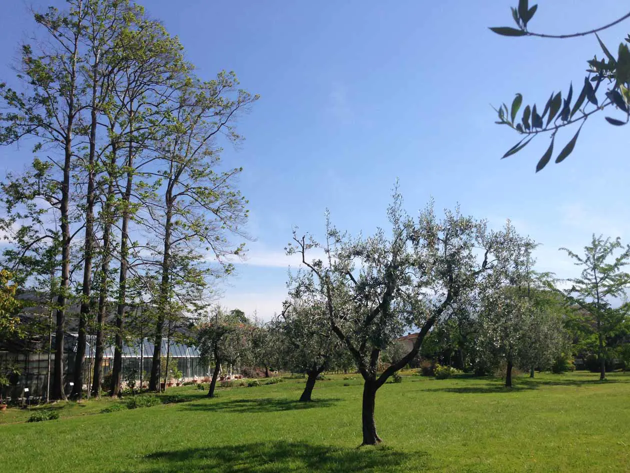 Orto botanico di Toscolano Maderno