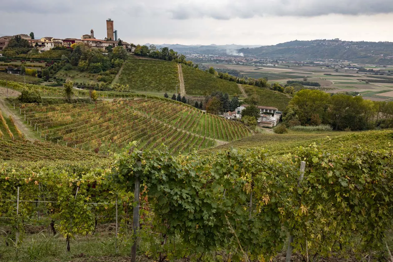 Barbaresco Copyright © Alessandro Sgarito, Archivio Ente Turismo Paesaggi Vitivinicoli del Piemonte: Langhe-Roero e Monferrato