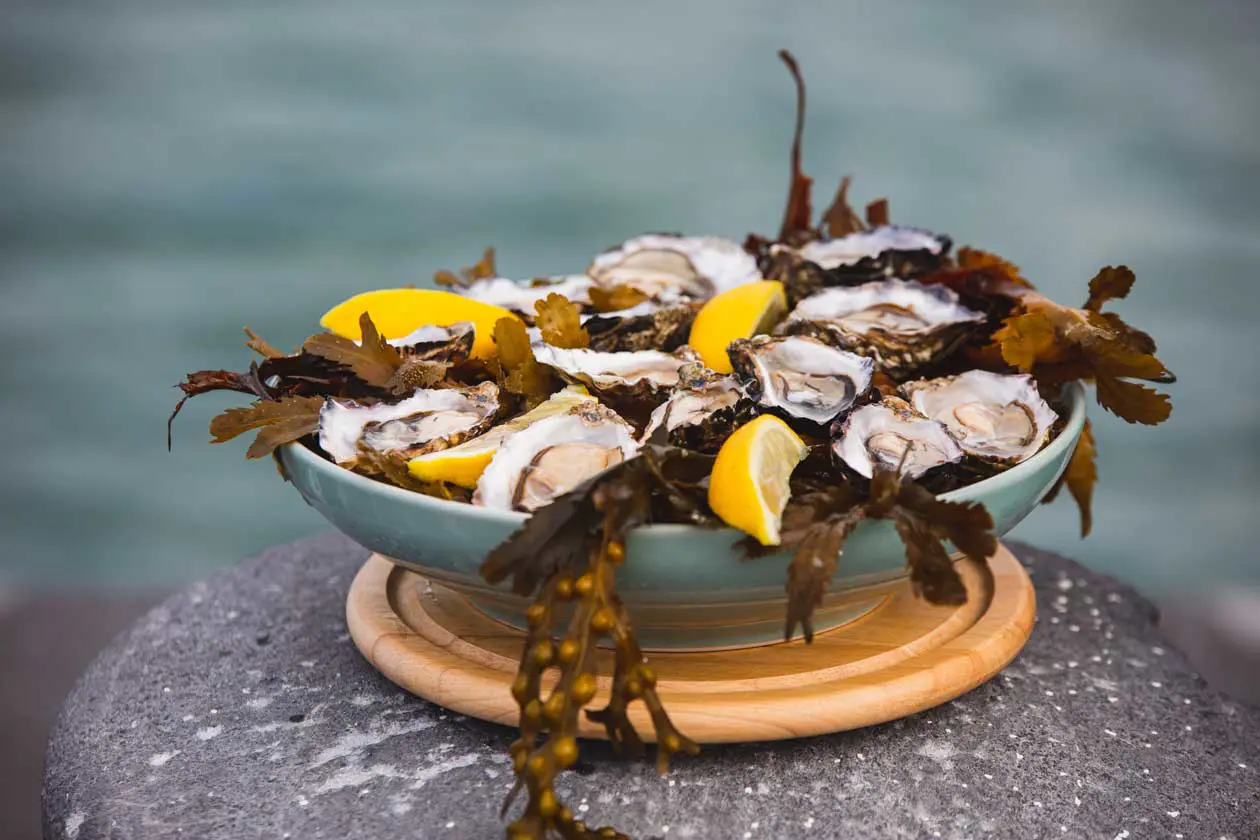 Oyster-tasting,-Gleninagh-Pier,-Co-Clare_master. Copyright © Ufficio Stampa Turismo Irlandese