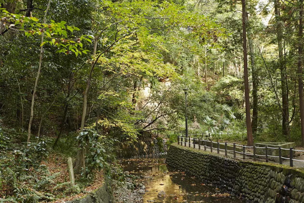 La valle di Todoroki a Tokyo