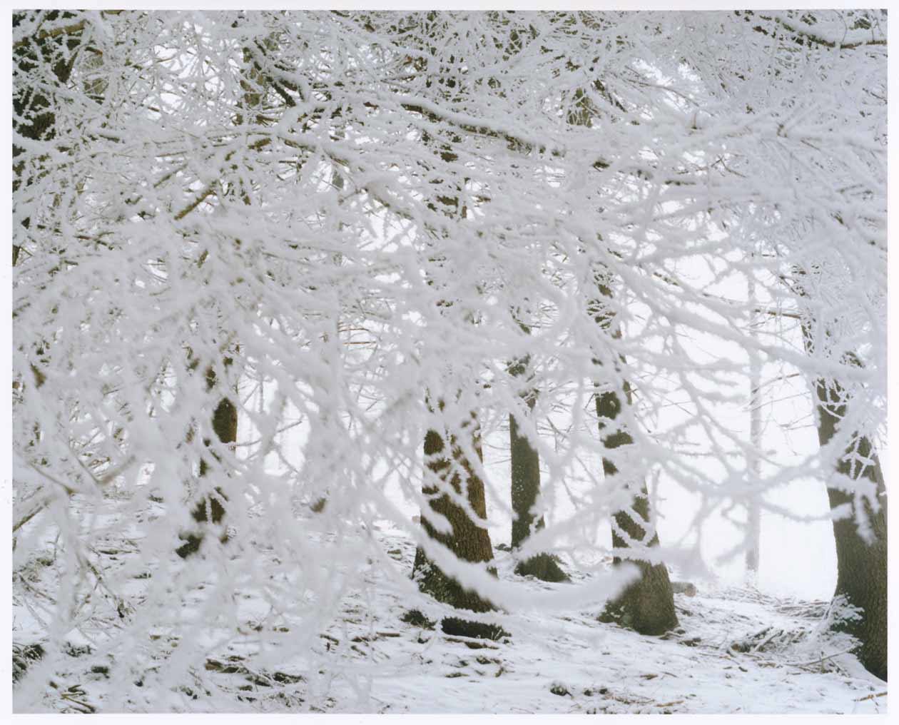 Naoki Ishikawa, Alpi Orobie, 2022, Campagna fotografica realizzata in occasione della mostra Vette di Luce, Accademia Carrara, 2023. Copyright © Accademia Carrara.