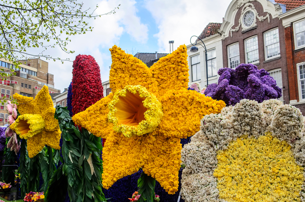 Le feste dei fiori in Olanda