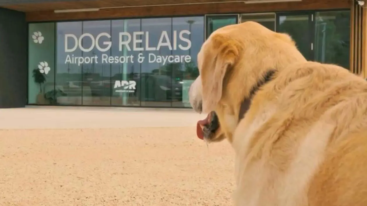 Dog Relais – Airport Resort & Daycare Foto: Copyright © Ufficio Stampa ADR