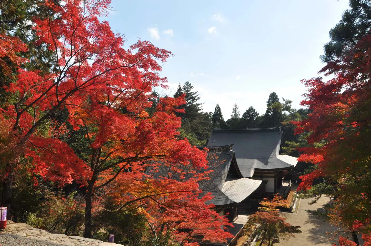 Takao Copyright © Ufficio Stampa Kyoto City Tourism Association