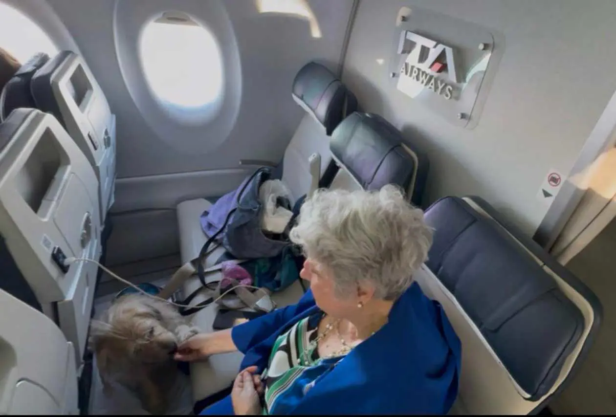 Copyright © Ita Airways
