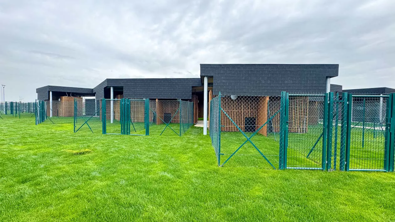 Dog Relais – Airport Resort & Daycare Foto: Copyright © Ufficio Stampa ADR