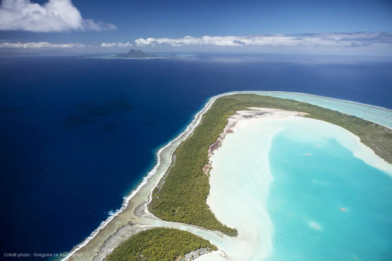TUPAI Divers TNH (63) Foto:Copyright © Grégoire Le Bacon Tahiti Nui Helicopters -  Ufficio stampa Tahiti Tourisme