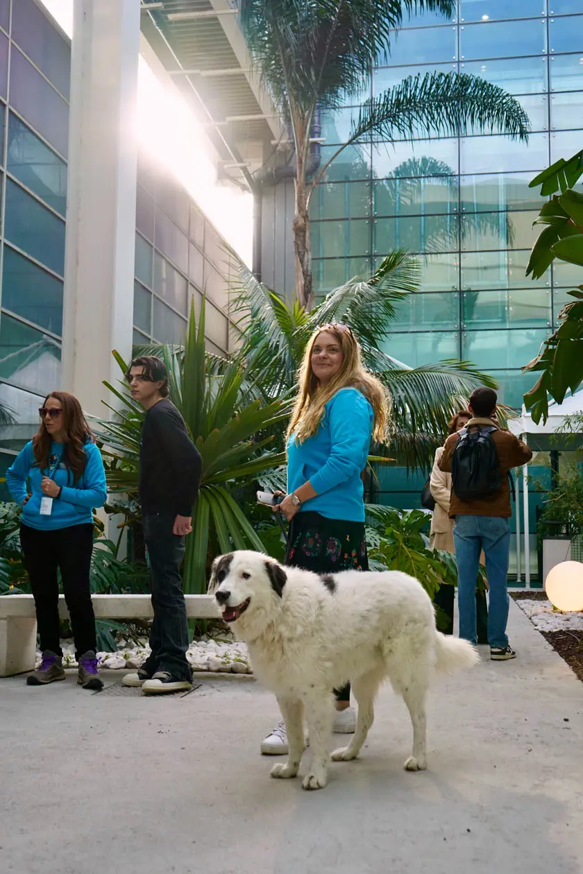 Pet Area dell’aeroporto di Cagliari Foto: Copyright © Stampa Aeroporto di Cagliari