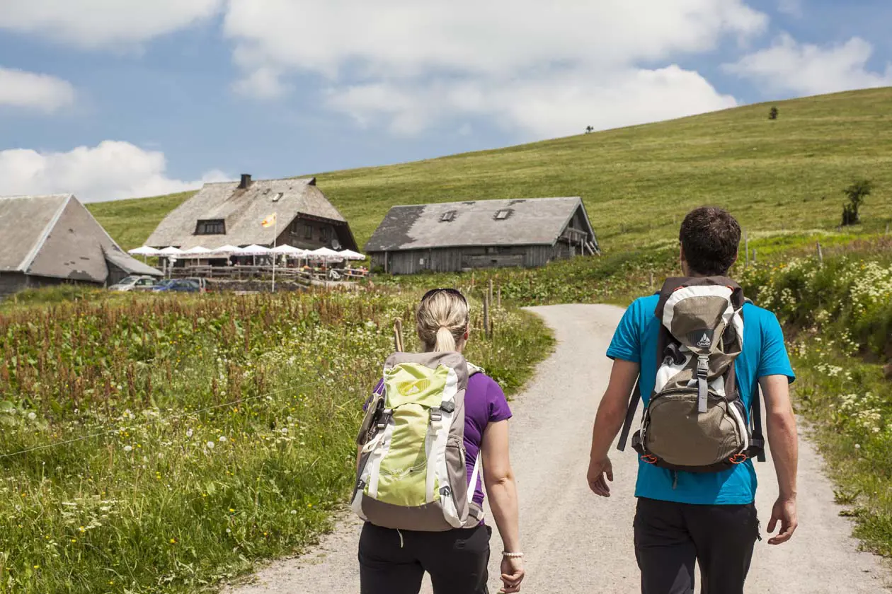 Feldberg Auf dem Weg zur St. Wilhelmer Hütte © Hochschwarzwald Tourismus GmbH