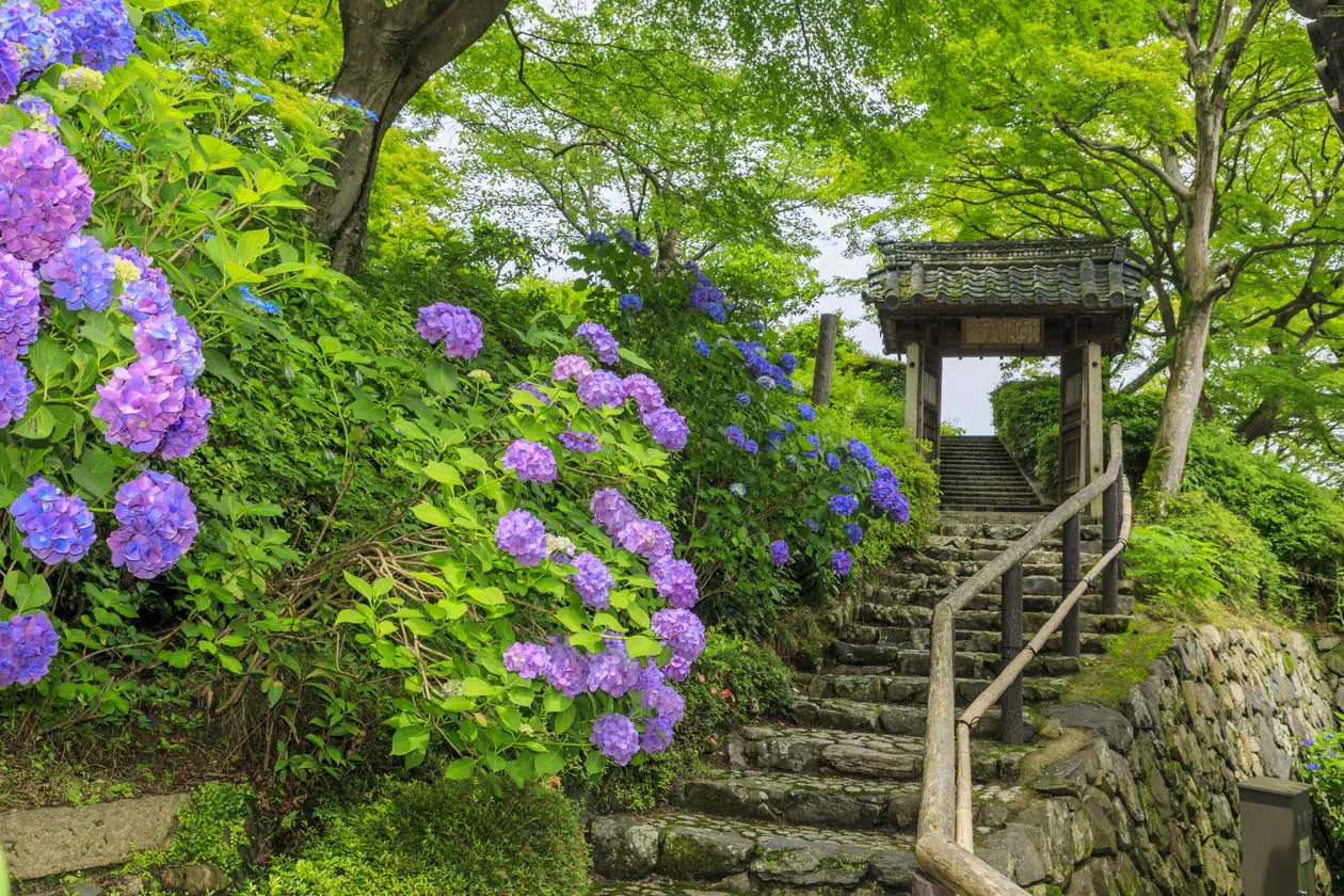 Nishikyo Copyright © Ufficio Stampa Kyoto City Tourism Association