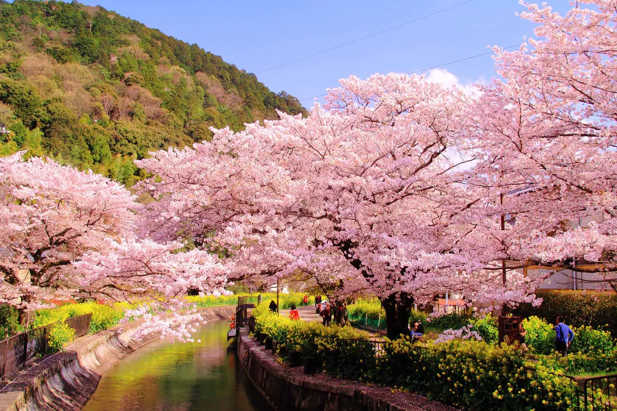Yamashina Copyright © Ufficio Stampa Kyoto City Tourism Association
