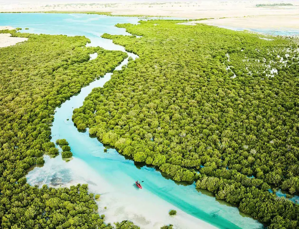 Purple Island in Qatar