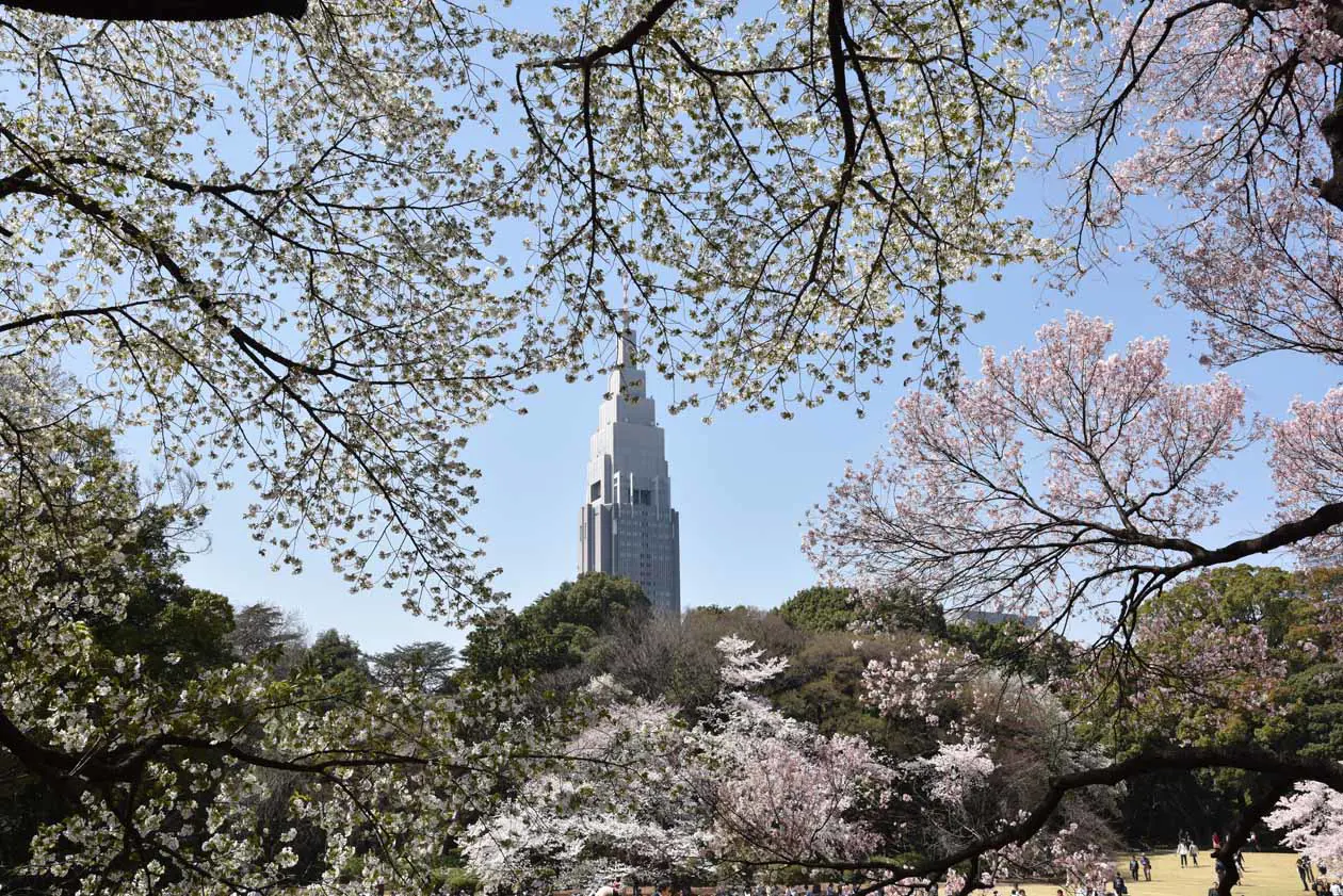 Tokyo, Shinjuku, Gyoen