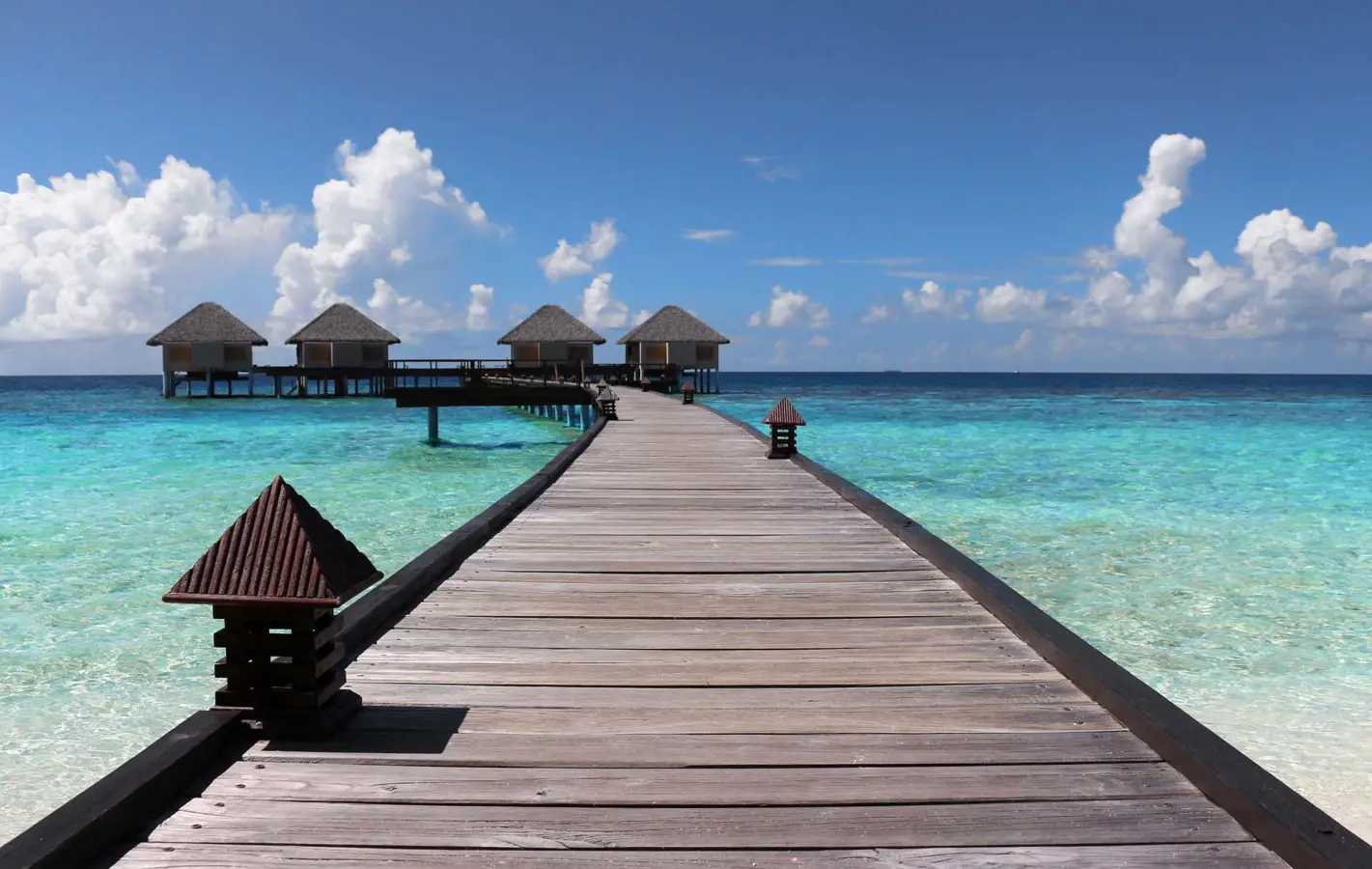 Maldive