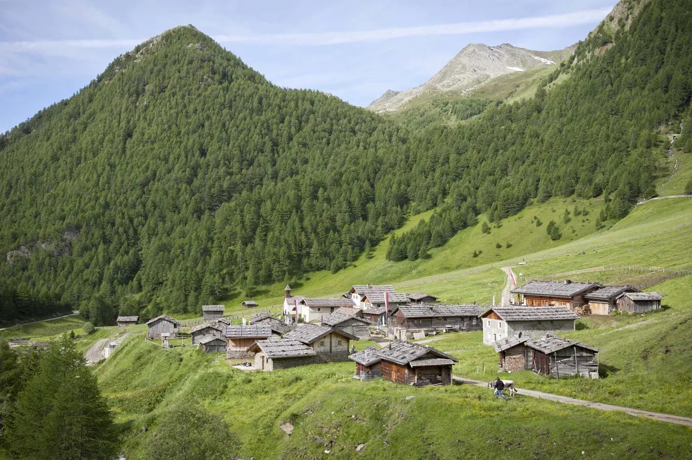 Malga Fane nell’Area Vacanze Rio Pusteria