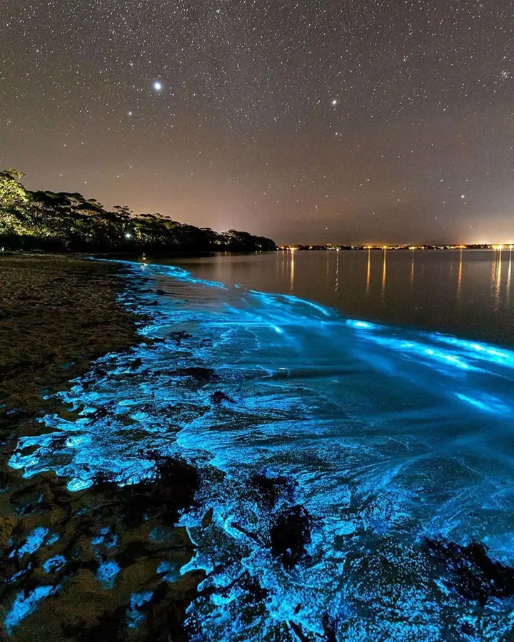 Bioluminescence - Jervis Bay, New South Wales  Credit: @jordan_robins