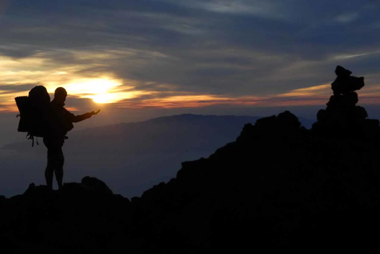 Corona forestal del Teide, Tenerife