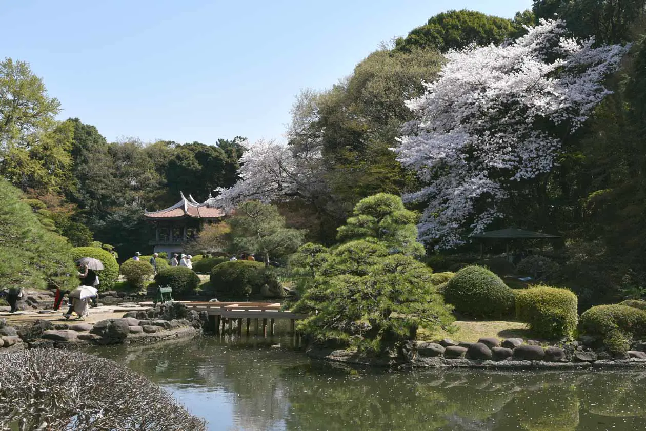 Tokyo, Shinjuku, Gyoen