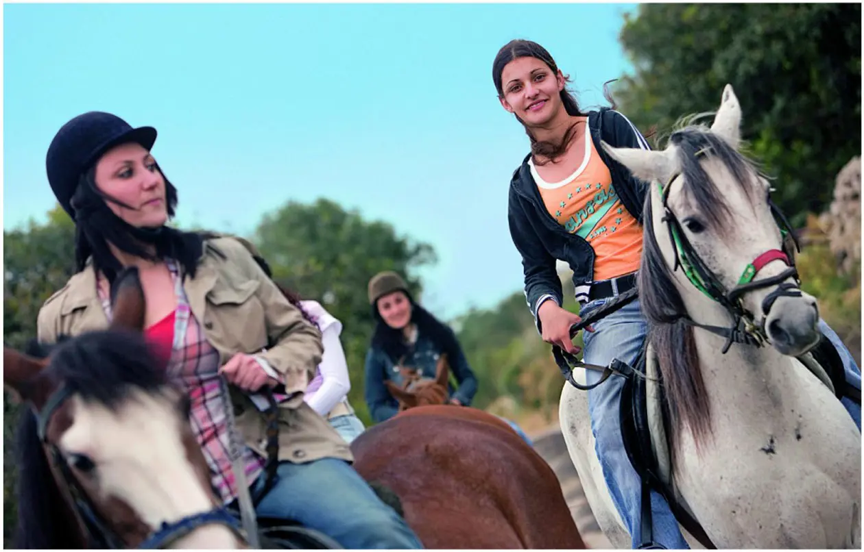 Malta horse riding.