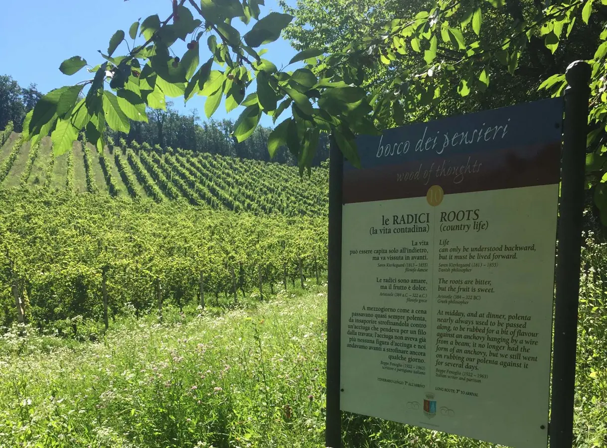 Bosco dei Pensieri al Villaggio Fontanafredda Serralunga d’Alba