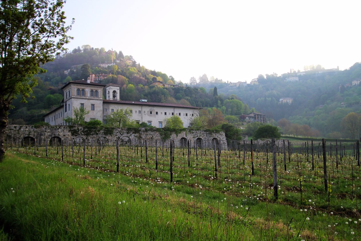 Lorenzi, Vineyard, Valle di Astino.