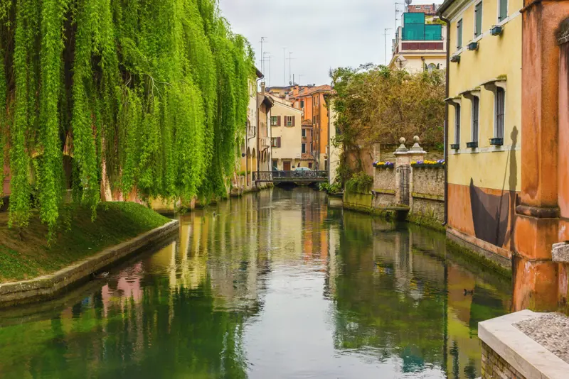 Treviso