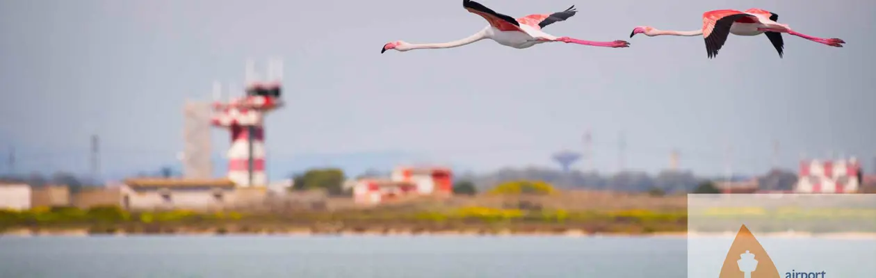 L'aeroporto di Cagliari si rinnova