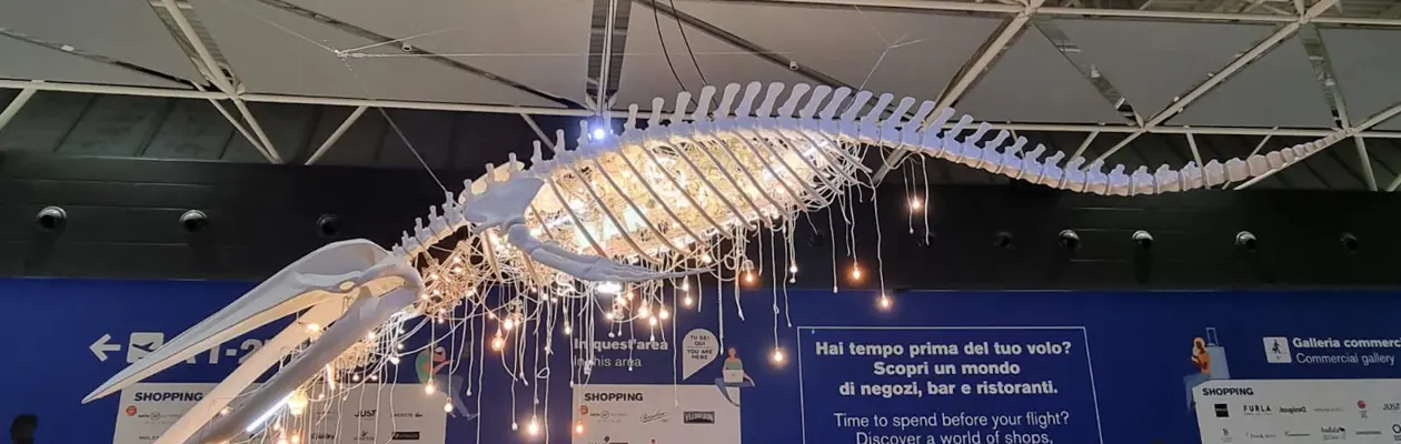 A Fiumicino l’opera ‘’Grande Anima’’ di Marcantonio