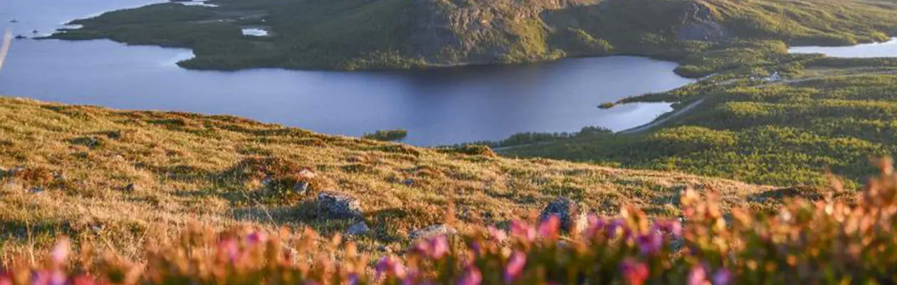 Lapponia più accessibile in estate