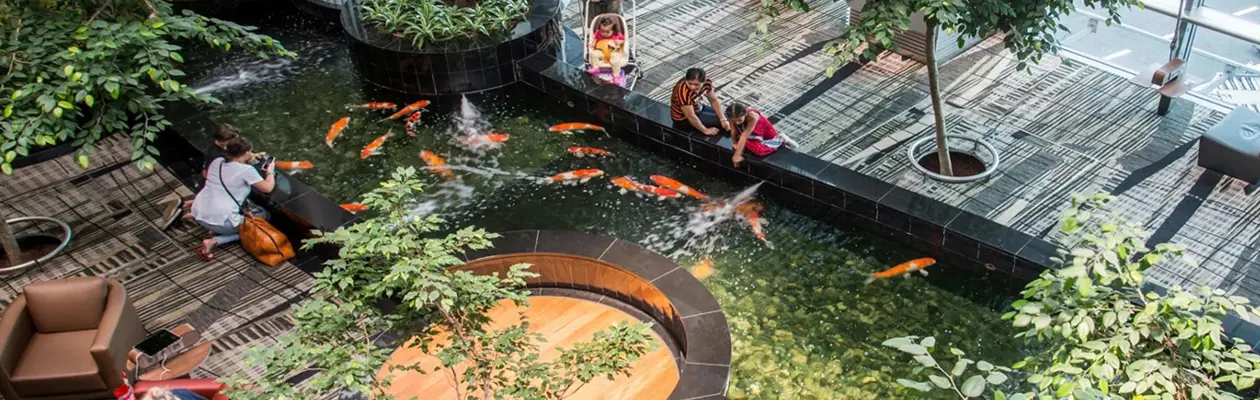 La “Changi Experience 2025”