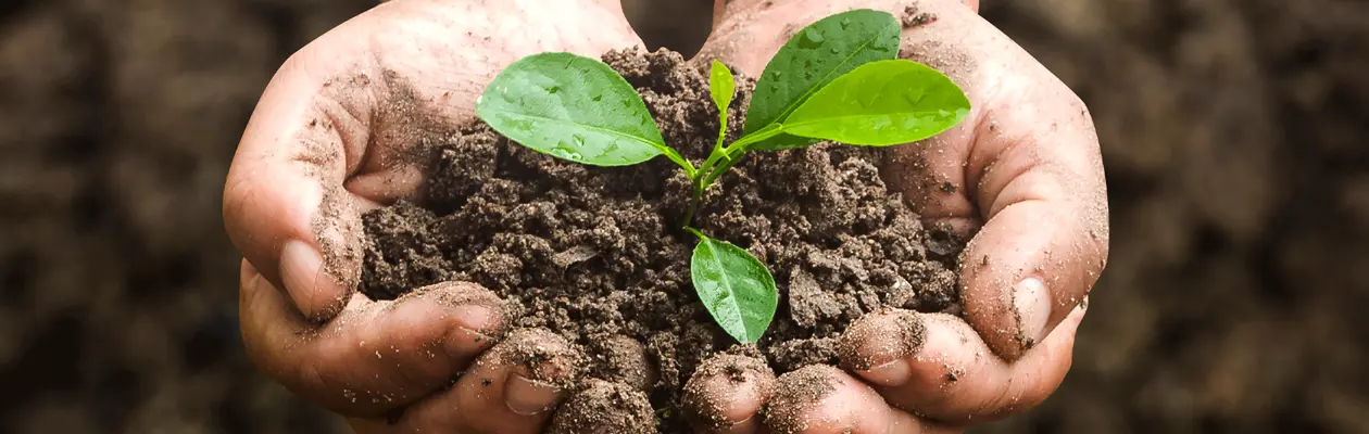 La salute del suolo è una soluzione al cambiamento climatico
