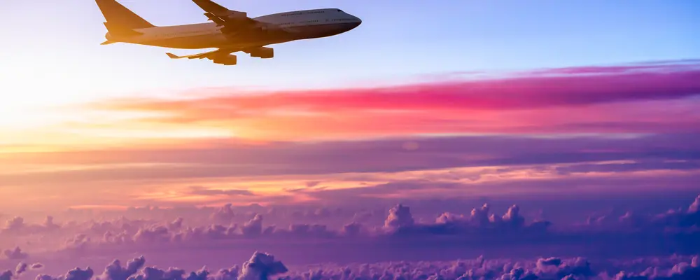 Assistenza alle vittime di incidente aereo e ai loro familiari