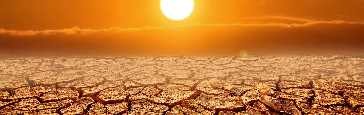 Giornata mondiale per la lotta alla desertificazione e alla siccità